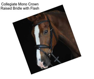 Collegiate Mono Crown Raised Bridle with Flash