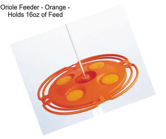 Oriole Feeder - Orange - Holds 16oz of Feed