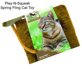 Play-N-Squeak Spring Fling Cat Toy