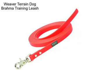 Weaver Terrain Dog Brahma Training Leash