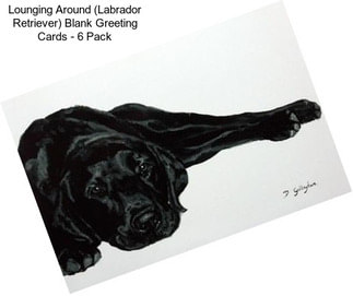 Lounging Around (Labrador Retriever) Blank Greeting Cards - 6 Pack