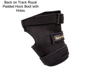 Back on Track Royal Padded Hock Boot with Holes