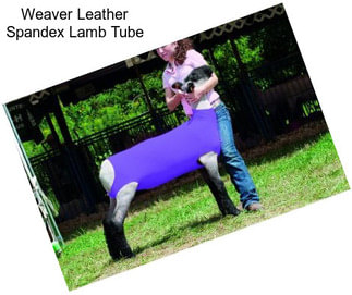 Weaver Leather Spandex Lamb Tube