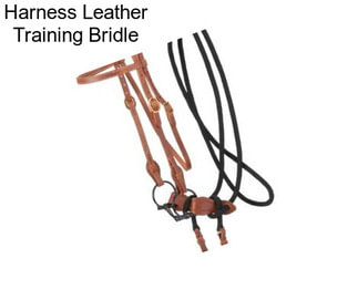 Harness Leather Training Bridle