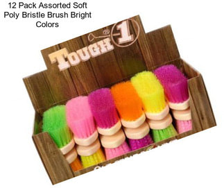 12 Pack Assorted Soft Poly Bristle Brush Bright Colors