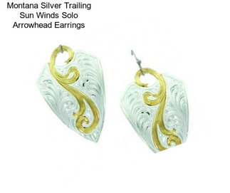 Montana Silver Trailing Sun Winds Solo Arrowhead Earrings