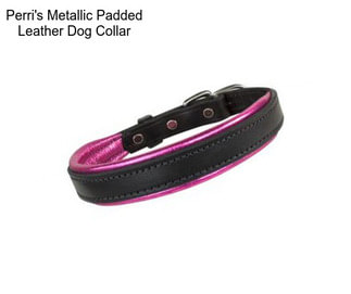 Perri\'s Metallic Padded Leather Dog Collar