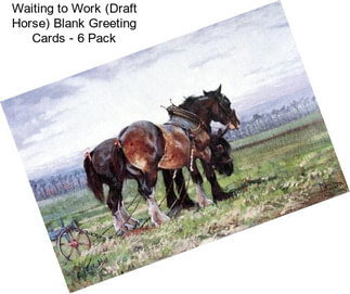 Waiting to Work (Draft Horse) Blank Greeting Cards - 6 Pack