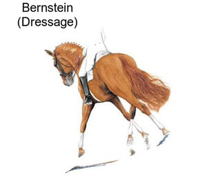 Bernstein (Dressage)