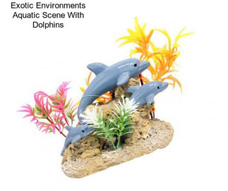 Exotic Environments Aquatic Scene With Dolphins