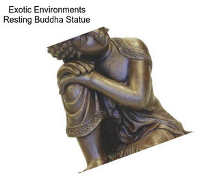 Exotic Environments Resting Buddha Statue