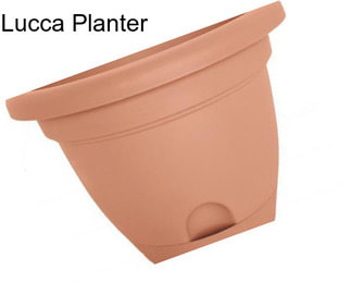 Lucca Planter