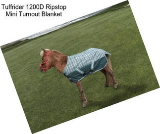 Tuffrider 1200D Ripstop Mini Turnout Blanket