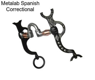 Metalab Spanish Correctional