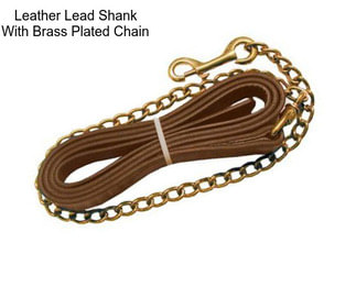 Leather Lead Shank With Brass Plated Chain