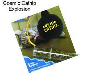 Cosmic Catnip Explosion