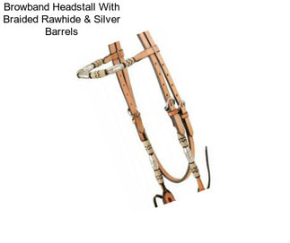 Browband Headstall With Braided Rawhide & Silver Barrels