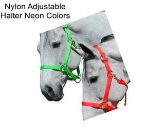 Nylon Adjustable Halter Neon Colors