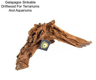 Galapagos Sinkable Driftwood For Terrariums And Aquariums