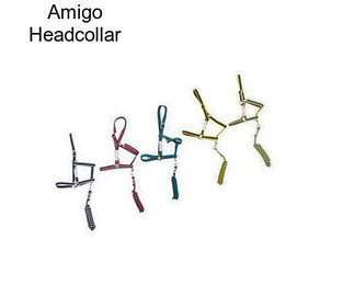 Amigo Headcollar