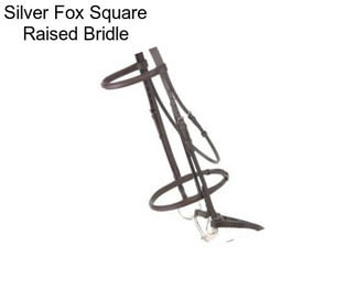 Silver Fox Square Raised Bridle