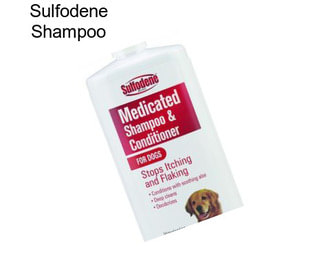 Sulfodene Shampoo