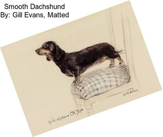 Smooth Dachshund By: Gill Evans, Matted