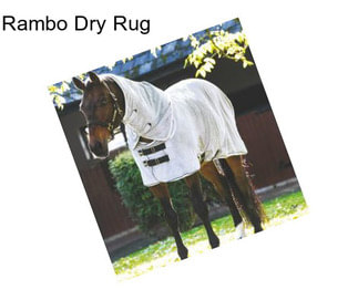 Rambo Dry Rug