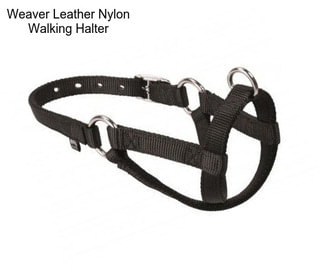 Weaver Leather Nylon Walking Halter