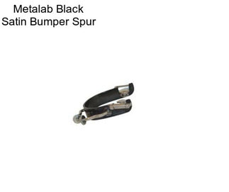 Metalab Black Satin Bumper Spur