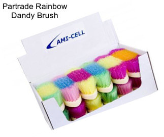 Partrade Rainbow Dandy Brush