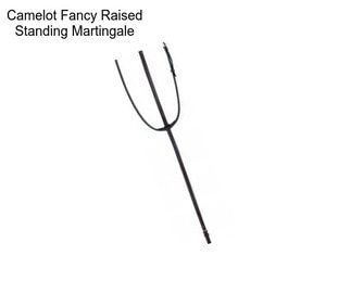 Camelot Fancy Raised Standing Martingale