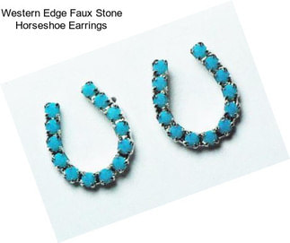 Western Edge Faux Stone Horseshoe Earrings