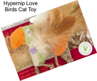 Hypernip Love Birds Cat Toy