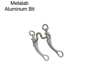 Metalab Aluminum Bit