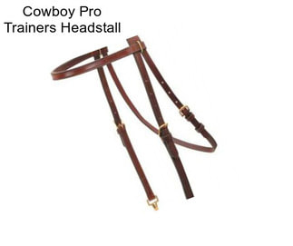 Cowboy Pro Trainers Headstall