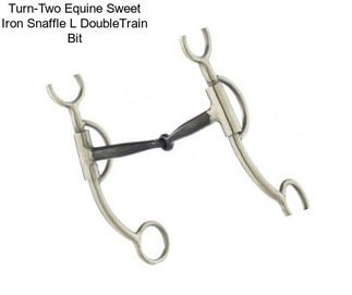 Turn-Two Equine Sweet Iron Snaffle L DoubleTrain Bit