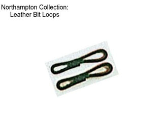 Northampton Collection: Leather Bit Loops