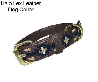 Halo Lex Leather Dog Collar