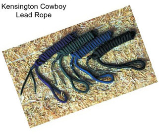 Kensington Cowboy Lead Rope