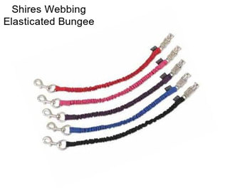 Shires Webbing Elasticated Bungee