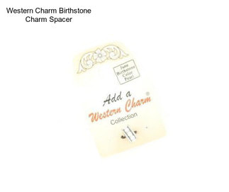 Western Charm Birthstone Charm Spacer