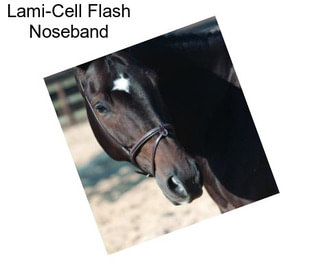 Lami-Cell Flash Noseband