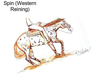 Spin (Western Reining)