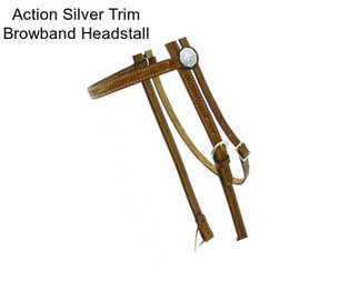 Action Silver Trim Browband Headstall