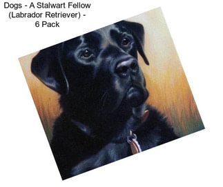 Dogs - A Stalwart Fellow (Labrador Retriever) - 6 Pack