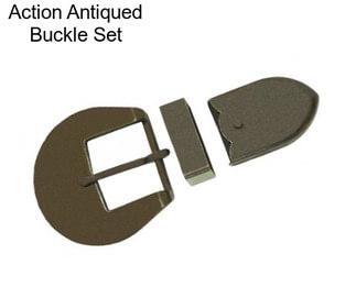 Action Antiqued Buckle Set