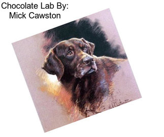 Chocolate Lab By: Mick Cawston