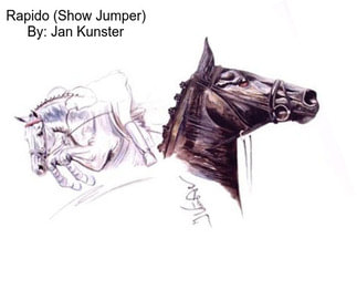 Rapido (Show Jumper) By: Jan Kunster
