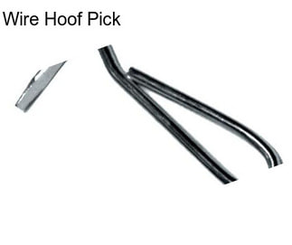 Wire Hoof Pick